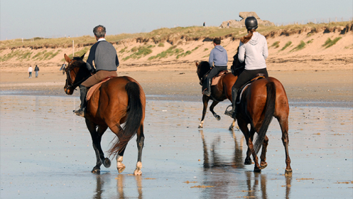 Desayuno campero y paseo a caballo
