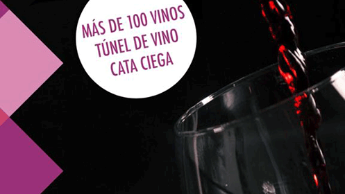 Feria de vino ciudad de Santander